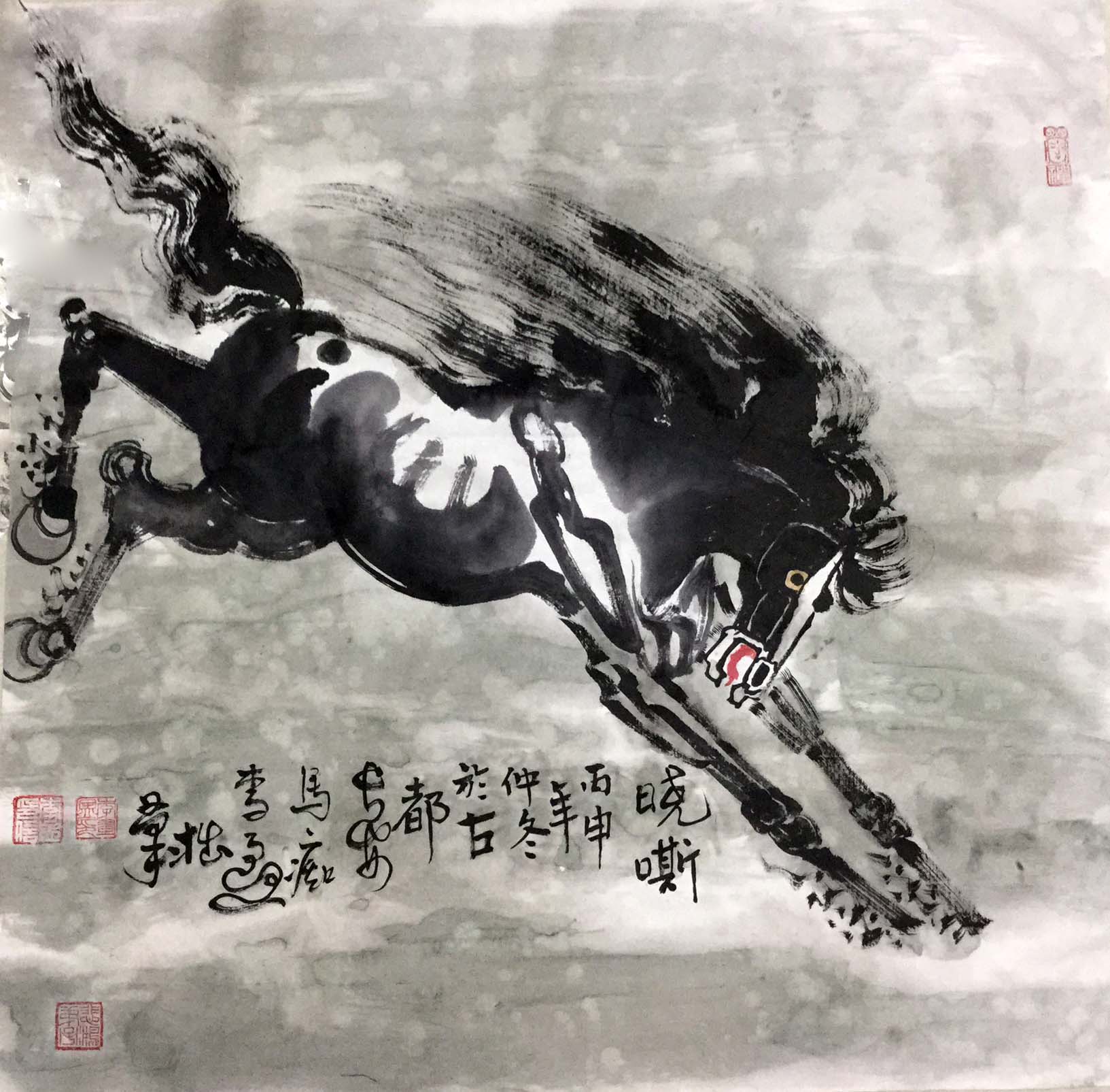 晓嘶